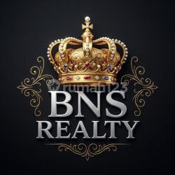 BNS REALTY 5 