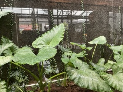 Lala Smart Property | Agen Properti GadingPro