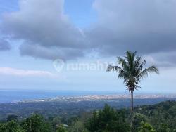 Fendal Property 