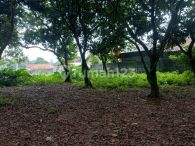 Cimangir Serpong Estate