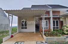 Green Sakanti Ungaran