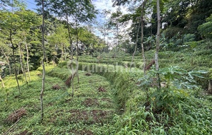 Tanah SHM Depan Pabrik Aqua, Kolam Renang Mangli Wonosobo, Pecahan Luas 6.967 M2