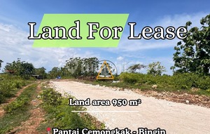 THE ONE ONLY ONE CHEAP PRICE LAND FOR LEASE IN BINGIN CENTER