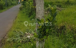 Dijual.tanah Lokasi Poros Jalan View Gunung Dan.kota Malang