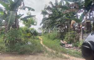 Land for Sale in Pasir Putih, SHM, Suitable for Housing & Investment