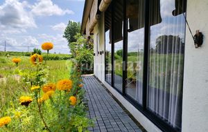 for rent Villa 10 menutes from mongkey forest center strategic Ubud 40 minutes to Canggu, 10 minutes to Sentral Ubud Gianyar Bali in the middle of rice fields in Ubud beautiful comfortable Rice Field View and mountains For 1 Year 1 month free charge contract 