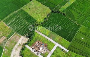 LAND IN KEDUNGU NEAR CANGGU NUANU LUNA BEACH CLUB