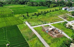TANAH COCOK UNTUK VILLA DEKAT CANGGU PERERENAN