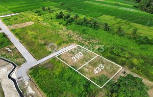 Kedungu dekat CANGGU 390m2 433m2 Suround By The View