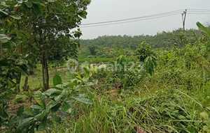 Tanah Siap Bangun Strategis Sejuk Nyaman SHM di Blok Cikadongdong, Sumahurip