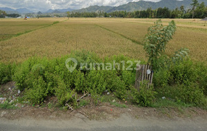 Land for Sale Near Toto Gorontalo Hospital, 6 Km From Gorontalo City