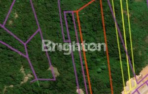 TANAH EKSKLUSIF WARLOKA, LABUANBAJO, LUAS 8 HEKTAR