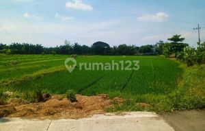 Tanah Strategis Cocok Untuk Perumahan Lokasi Menganti