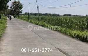 Tanah di Mojokerto Kemlagi