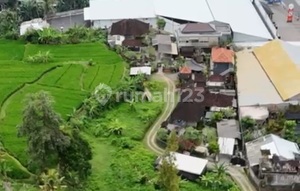 Tanah View Sawah Zona Pink Siap Bangun Vila Rental