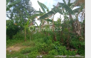 Tanah Luas Strategis di Kalialang Baru Lokasi Dekat Tol Manyaran