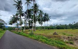 SHM Land in Sungai Geringging on Jl. Raya Lambeh, Malai III Koto, Sungai Geringging Subdistrict, Padang Pariaman Regency, West Sumatra