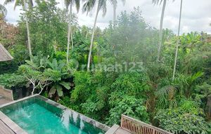 BEAUTIFUL FULLY FURNISHED VILLA VIEW JUNGLE & RIVERSIDE IN UBUD