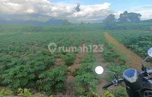 Land near Minang Kabau International Airport Strategic Location Negotiable Price