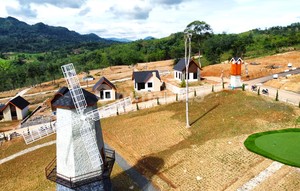 Fresh Air, Green Nature, Tangible Investment Value