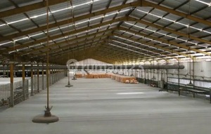 Murah Banget Bu Dijual Pabrik Kayu di Raya Cerme Gresik,