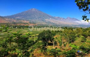 Di Jual Tanah Bukit View Terindah Sembalun Lombok