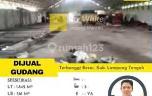 DIJUAL GUDANG SIAP PAKAI DI TERBANGGI BESAR LAMPUNG TENGAH