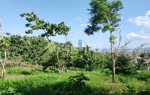 For Quick Sale: 28,950 m2 Land in Tanjung Karang, Lampung