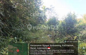 Tanah di Jl Sungai Ambawang Sudah Bonus Rmh Walet dan Rmh Tinggal