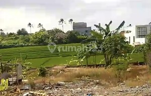 For Rent 8.5 Are Land with SHM in Canggu- Semat