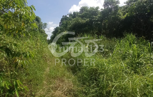 Tanah di Desa Asyaman, Keerom 10.000 m²