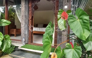 Apartment/Kost Available In Ubud