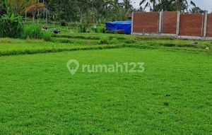 Jual tanah ubud payangan