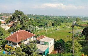DIJUAL KEBUN DURIAN SUDAH BERBUAH DI CIJERUK BOGOR