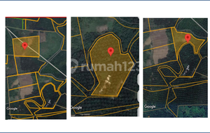 Strategic Land for Sale in Sepaku, Near IKN, Ideal for Long-Term Investment