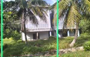 Dijual 3 Rumah Usaha Sarang Burung di Kalimantan Barat