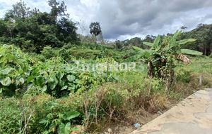 DIJUAL TANAH PINGGIR JALAN COR PERUMAHAN LOKASI KM 12 COCOK DIBUAT RUMAH TINGGAL, KONTRAKAN, KEBUN DAN PETERNAKAN HARGA NEGO