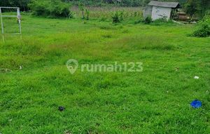 Di Jual Tanah Di Cigombong Bogor Jawabarat.