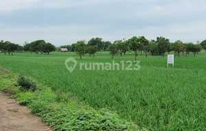 Dijual Cepat Tahan 2.2 Hektar Di Majalengka Dekat Bandara Kertajati Jawa Barat