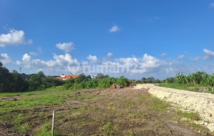 Cluster Tanah Kavling Penghasil Cuan Canggu, Bali 