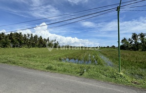 Strategic, Affordable Land for Hotel, Resort 1.3 ha, SHM Banyuwangi Currently Building Hotel