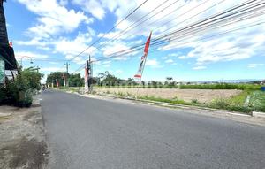 Cocok Peruntukan Usaha, Tanah Murah Tepi Jalan Aspal