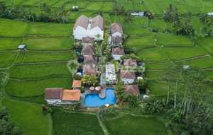 Dijual Cepat Villa & Resort With Rice Field View di Ubud
