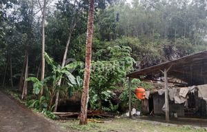 Tanah Di Jalan Raya Pantai Baron Jual Cepat Cocok Untuk Hotel, Homestay Dan Usaha Rejosari Gunung Kidul