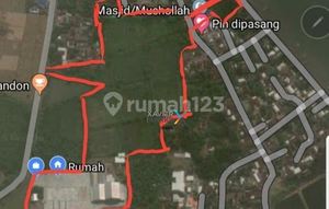 For Sale: Used Rice Mill Factory in Kapongan, Situbondo