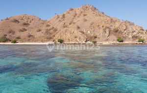 Beach plot land in Labuan Bajo, Land in Labuan Bajo.