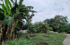 Land on the Lubuk Pakam Crossroad