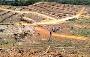 Jual Kavling Di Ikn Lokasi Strategis Semoi 3 