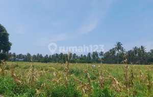 Dijual Tanah Di Jalan Raya Manado Bitung Kauditan Watudambo Kawasan Industri Kabima Sulawesi Utara