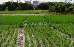 Land in Subang. Near Byd.